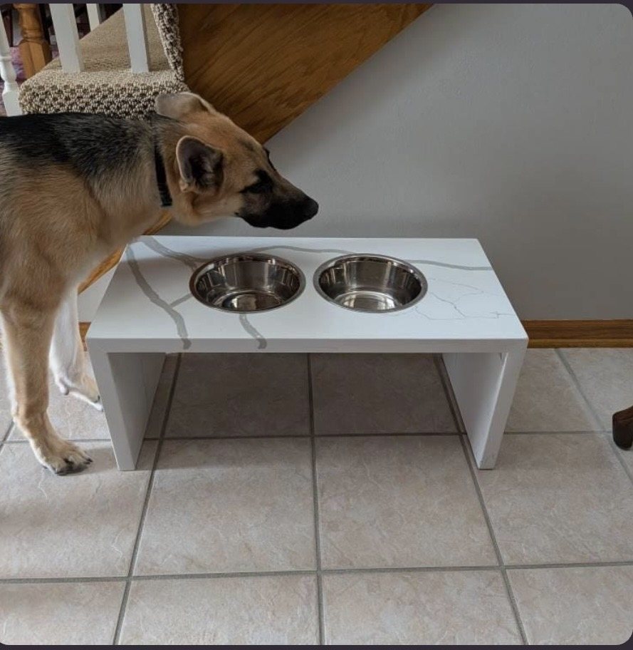 German Shepherd next to a large Calacatta Spring quartz elevated dog feeder on a tile floor