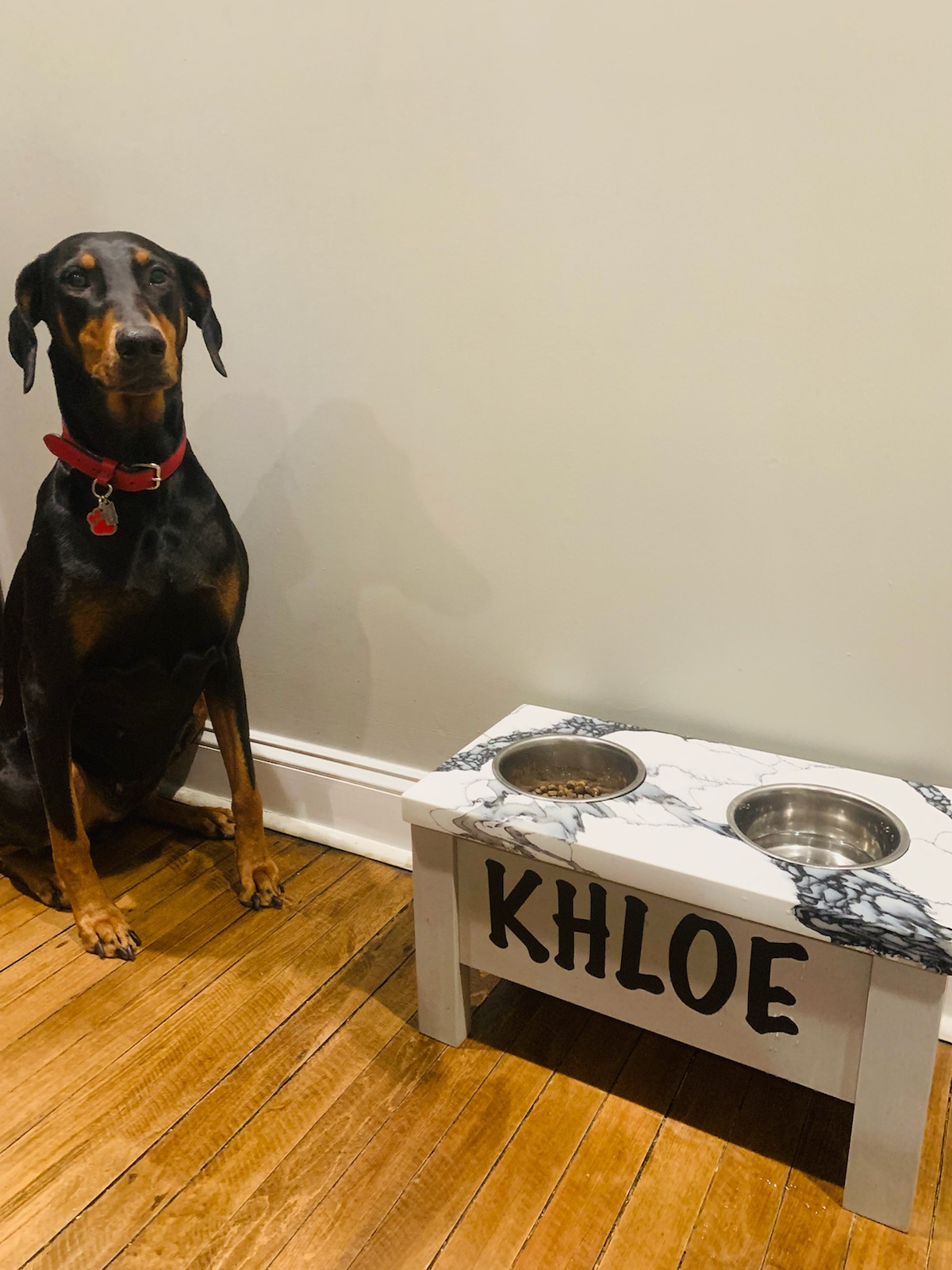 Doberman with custom white quartz feeding station